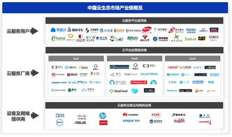 2019年云服務(wù)預(yù)測(cè) 風(fēng)起云涌，新賽道涌現(xiàn)——聚焦工業(yè)互聯(lián)網(wǎng)數(shù)據(jù)服務(wù)